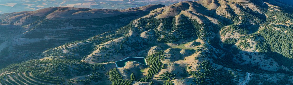 Отели Ливана