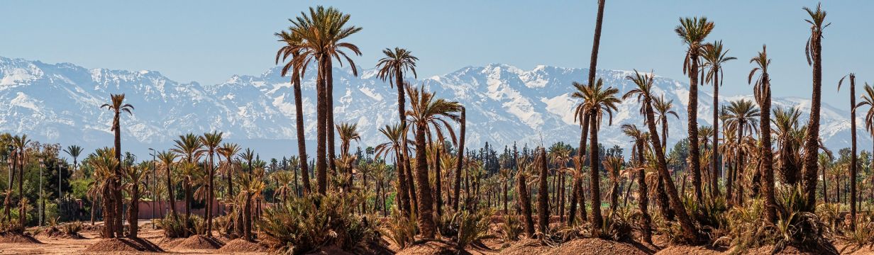 Бюджетные туры в Марокко