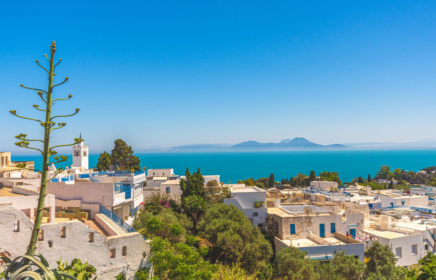 Отели Туниса из Иркутска