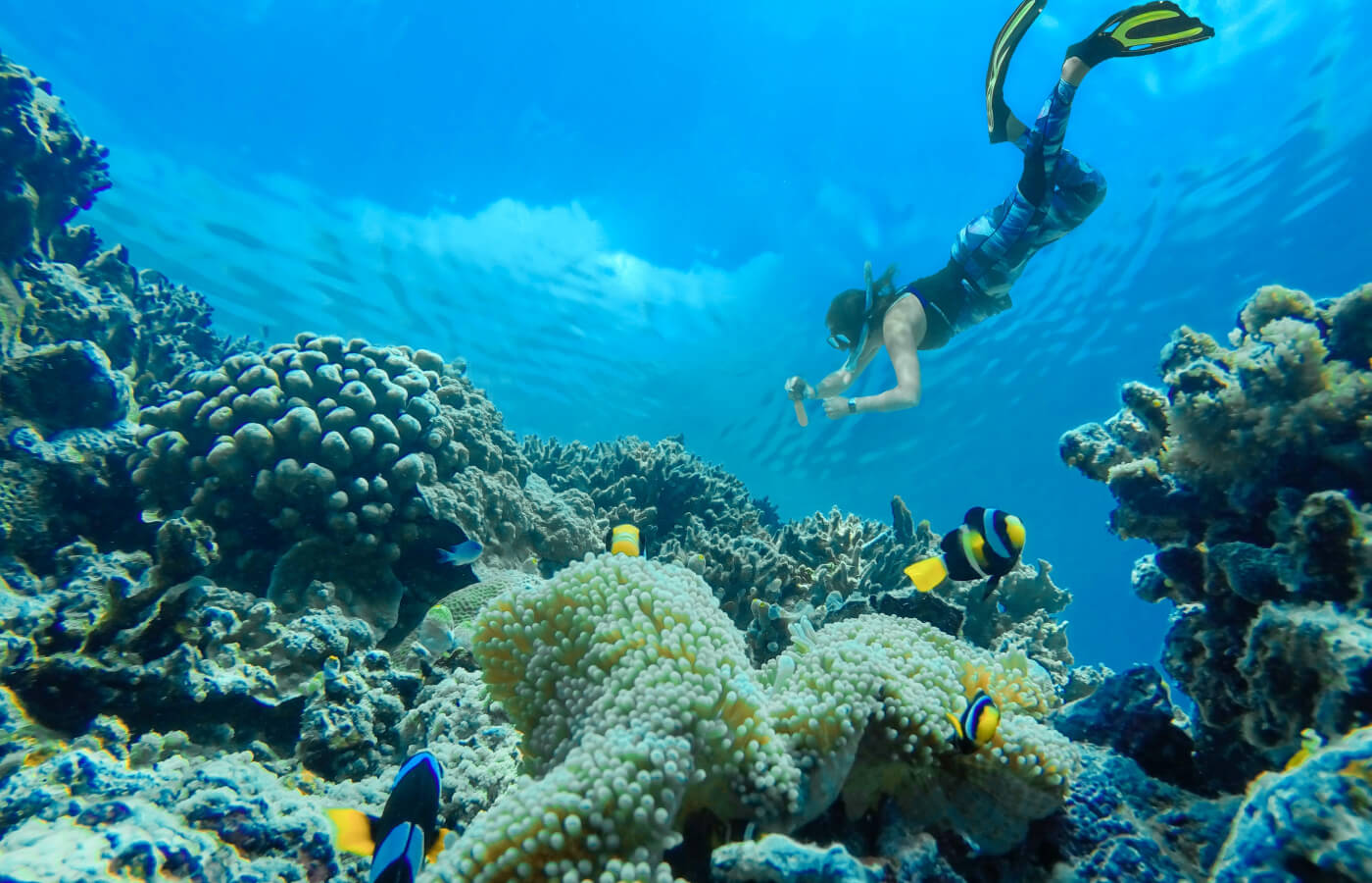 Отели Филиппин 2025