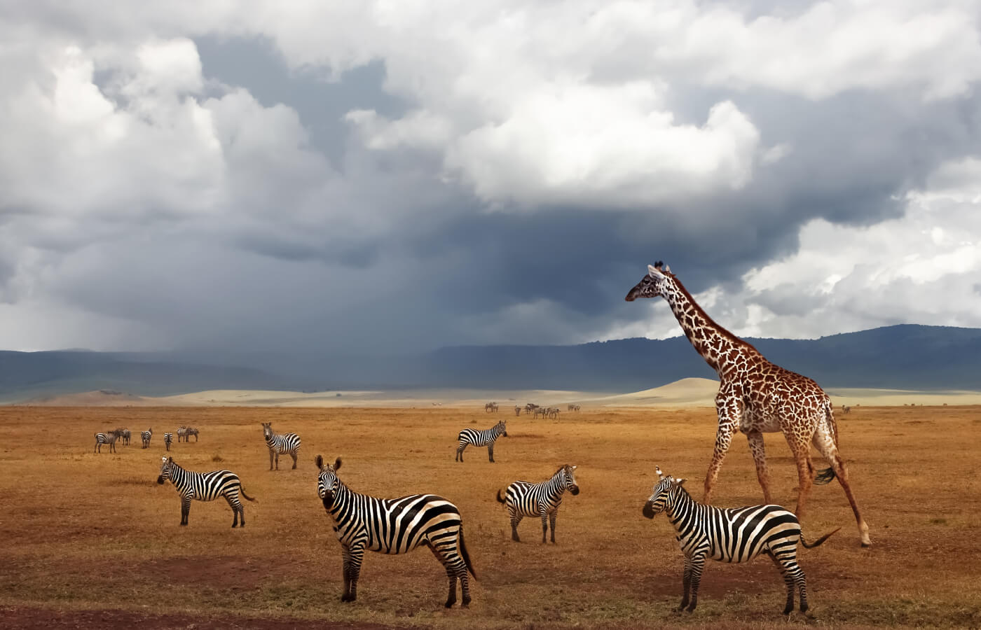 Горящие туры в Танзанию 2025