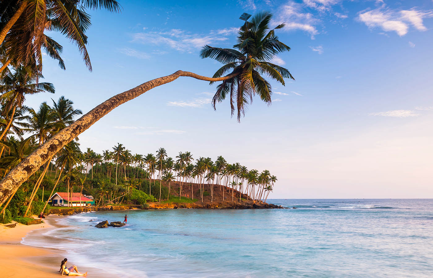 Горящие туры на Шри-Ланку 2025