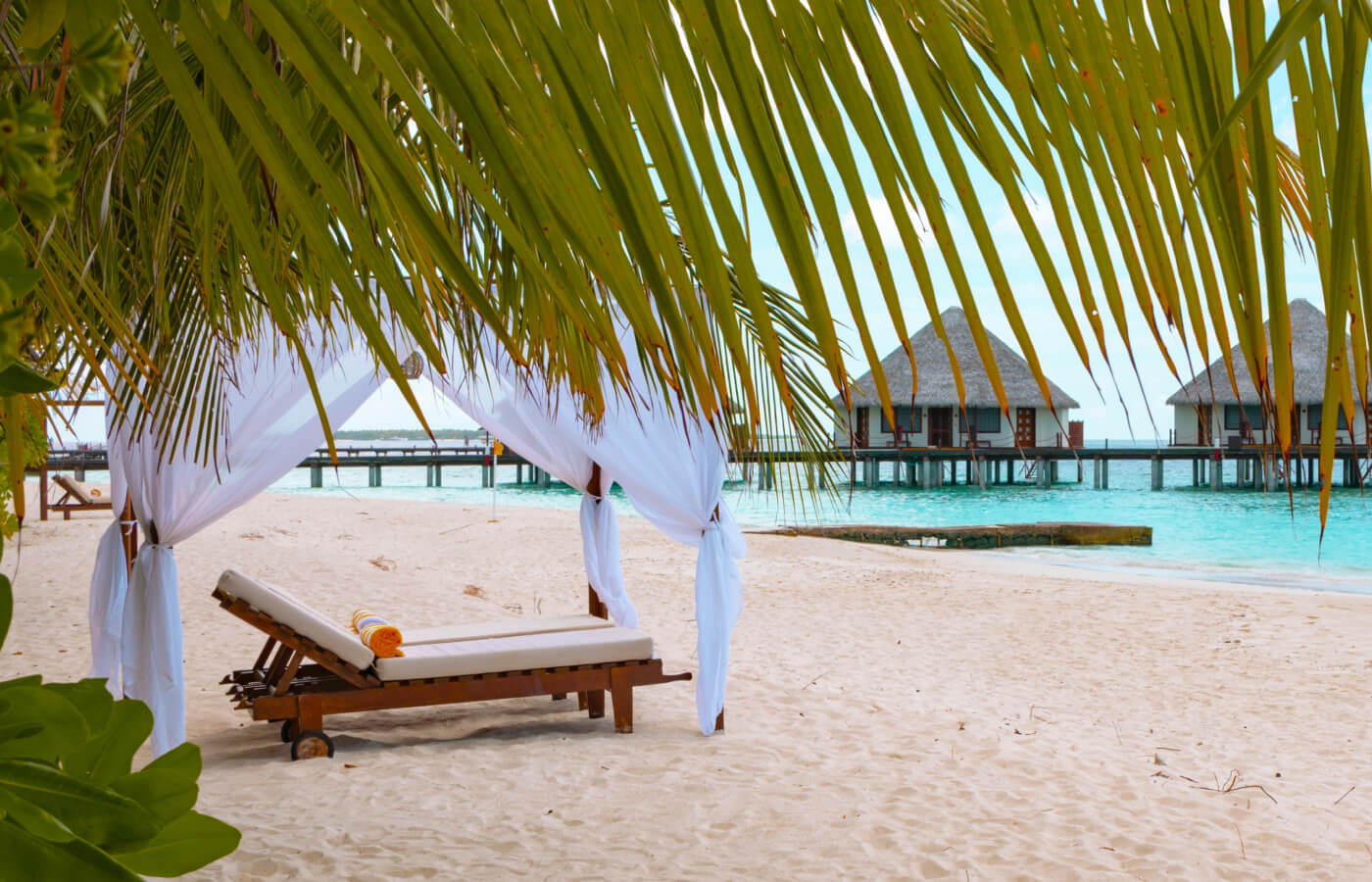 Отдых на Мальдивах 2025