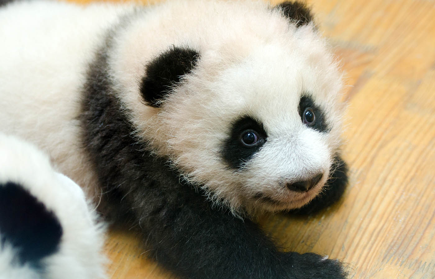 Отдых в Китае 2025