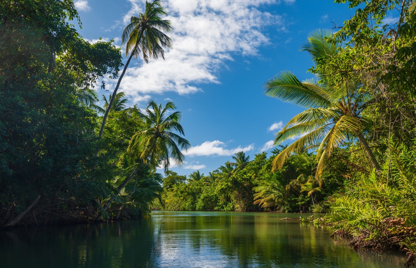 Отдых в Доминикане из Иркутска