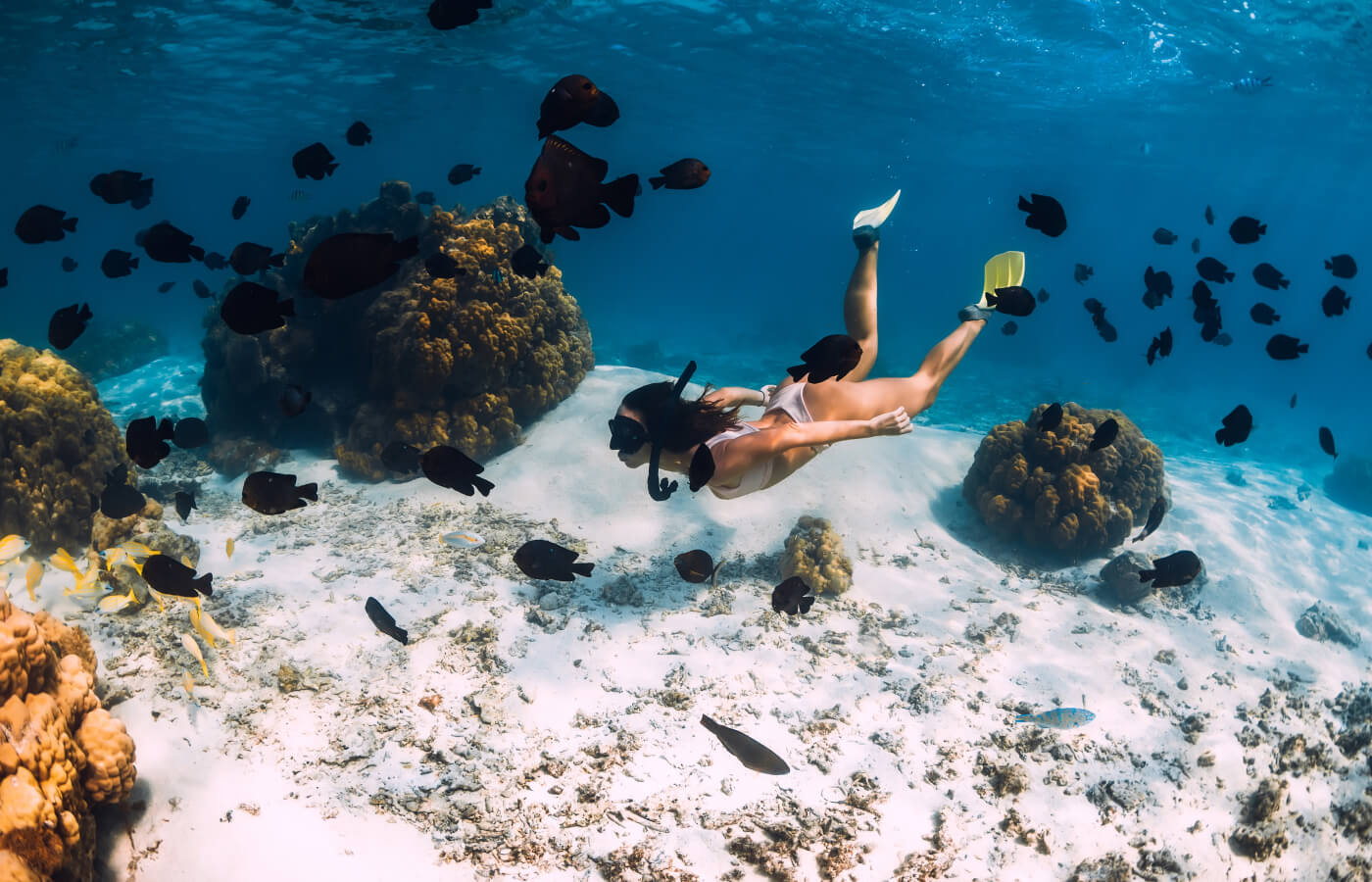 Бюджетные туры на Маврикий 2025